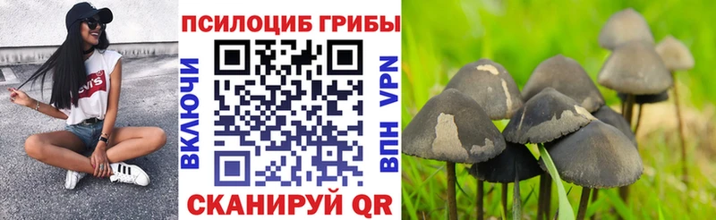 ОМГ ОМГ tor  Амурск  Галлюциногенные грибы Magic Shrooms 